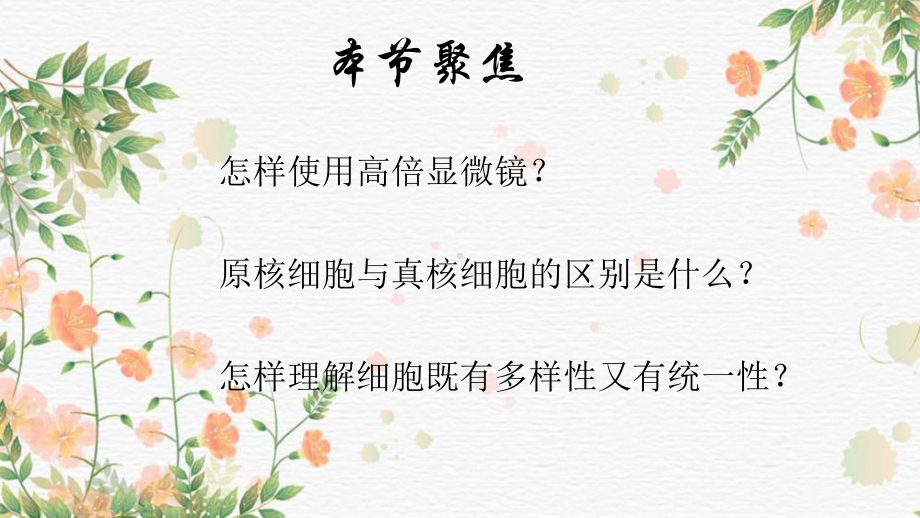 1.2细胞的多样性和统一性课件2021-2022学年高一生物人教版必修一.pptx_第2页