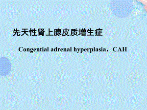 (完整版)先天性肾上腺皮质增生症ppt文档课件.ppt