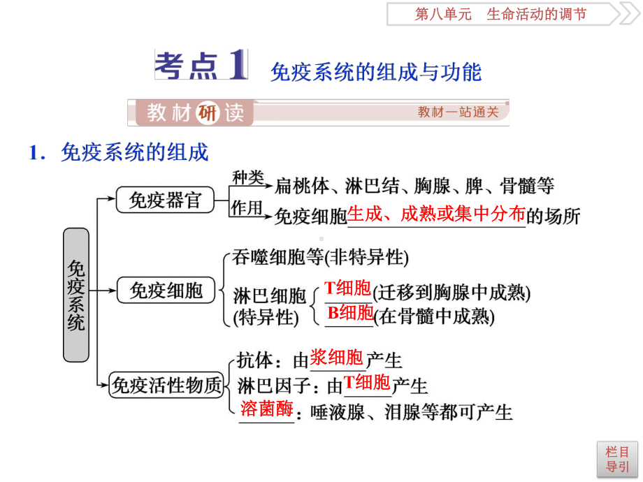 2020届人教版一轮复习第28讲-免疫调节-课件.ppt_第3页