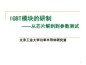 IGBT模块的研制(看)课件.ppt