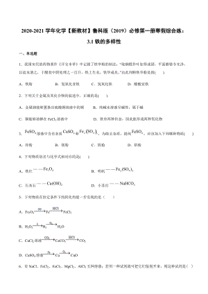 3.1铁的多样性 寒假作业综合练 -（2019）新鲁科版高中化学高一必修第一册.docx