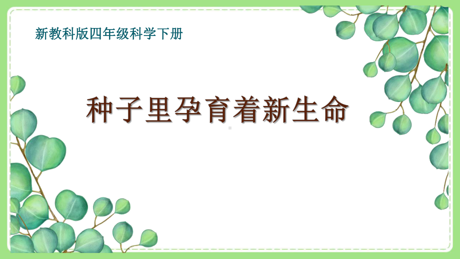 新教科版四年级小学科学下册全一册全部课件（共24节）.pptx_第1页