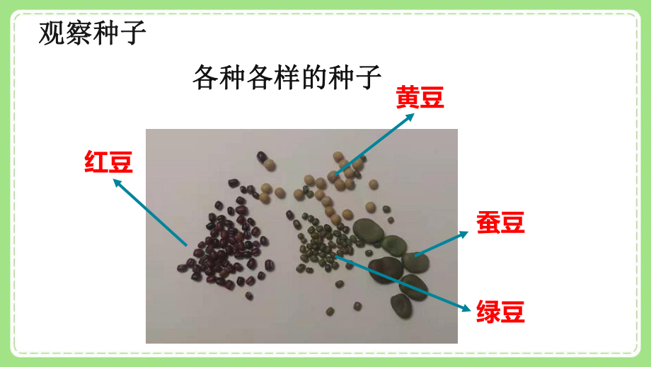 新教科版四年级小学科学下册全一册全部课件（共24节）.pptx_第2页