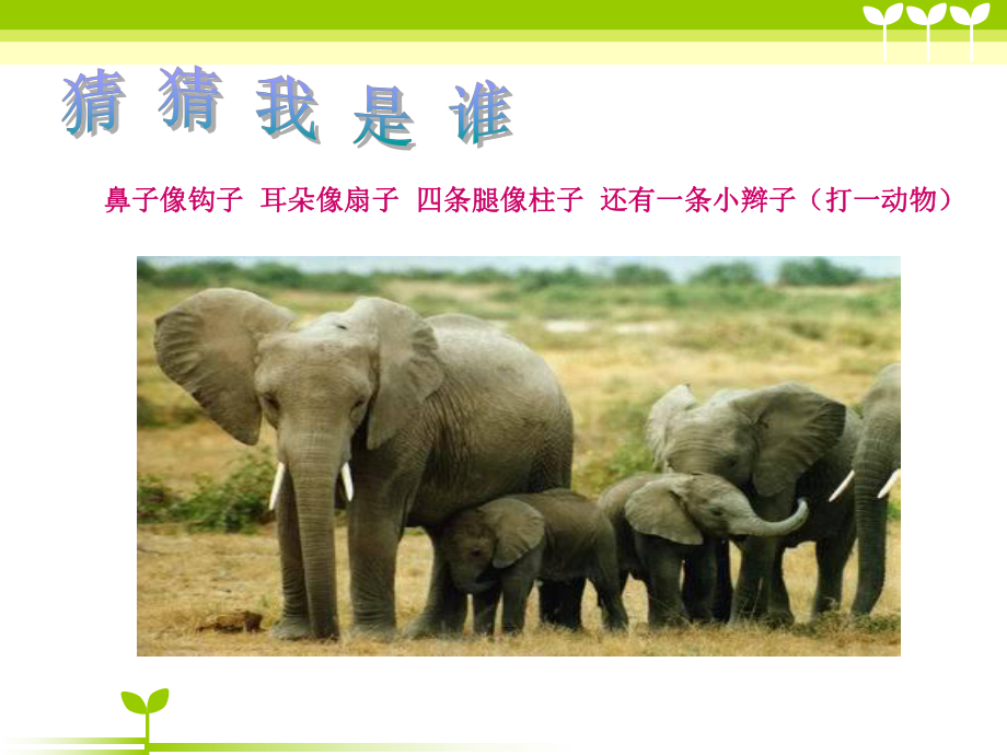 《有趣的面具》教学课件.ppt_第1页