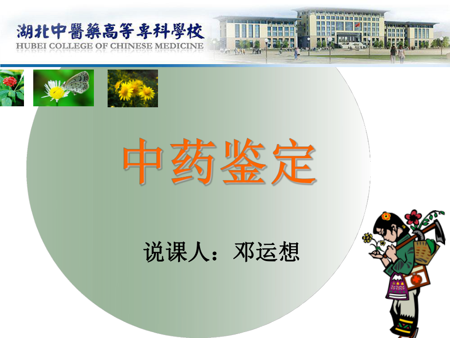 中药鉴定说课课件.ppt_第1页