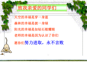 1.5.1有理数乘方教学课件.ppt