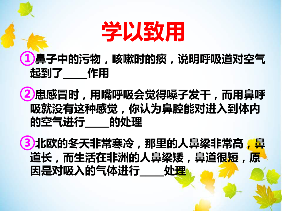 人体的呼吸ppt课件.ppt_第3页