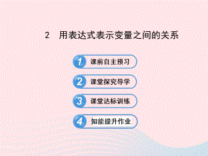 六年级数学下册第九章变量之间的关系2用表达式表示变量之间的关系课件鲁教版五四制.ppt