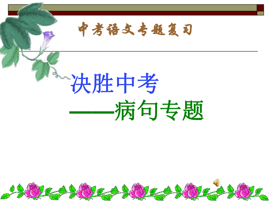 六、中考语文复习专题-病句修改资料课件.ppt_第1页