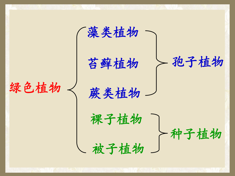 人教版-生物-七年级-上册-第三单元-第一章-第一节-藻类、苔藓和蕨类植物(50页)课件.ppt_第3页