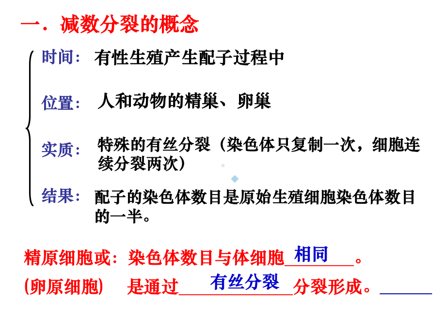 减数分裂和受精作用(复习)课件.ppt_第2页