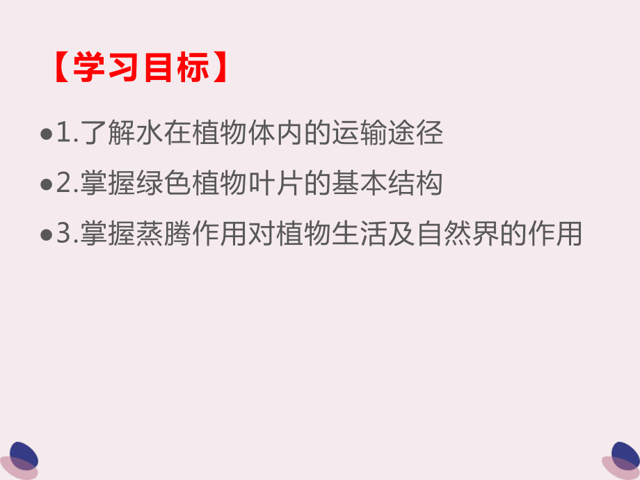 人教版七年级生物上册绿色植物与生物圈的水循环课件.pptx_第2页