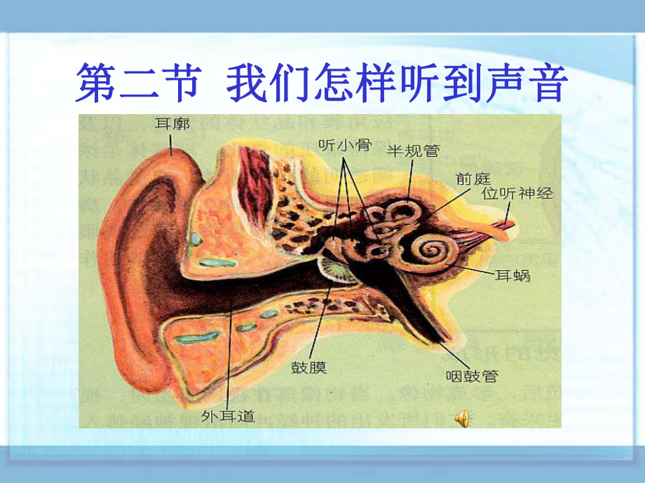 二我们怎样听到声音课件221张PPT人教版八年级上.pptx_第2页