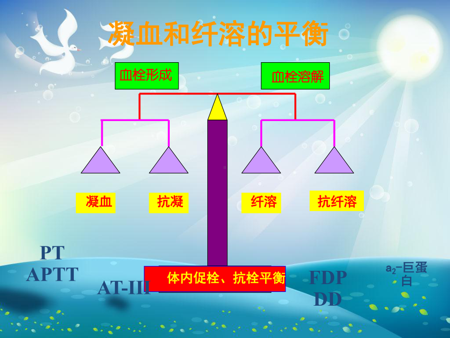 凝血功能解读课件.ppt_第2页