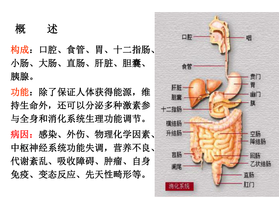 内科护理学消化系统疾病常见症状课件.ppt_第2页