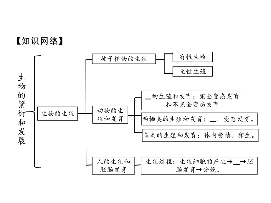 冀少版八年级生物下册复习课件全套.pptx_第2页