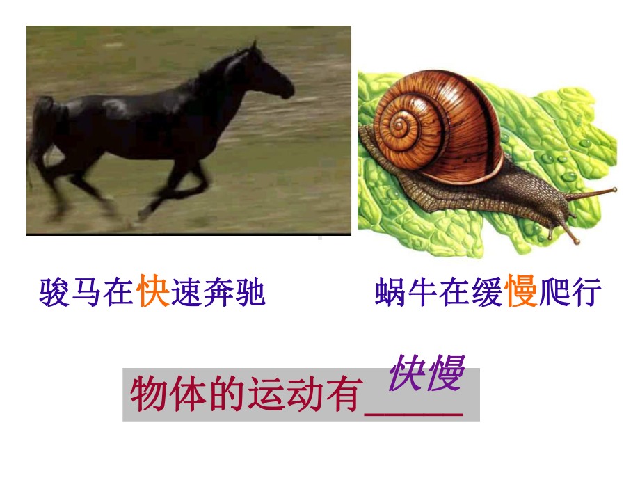 2.3 快与慢教学课件.ppt_第2页