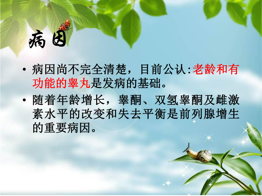 前列腺增生的护理查房最终版课件.ppt_第3页