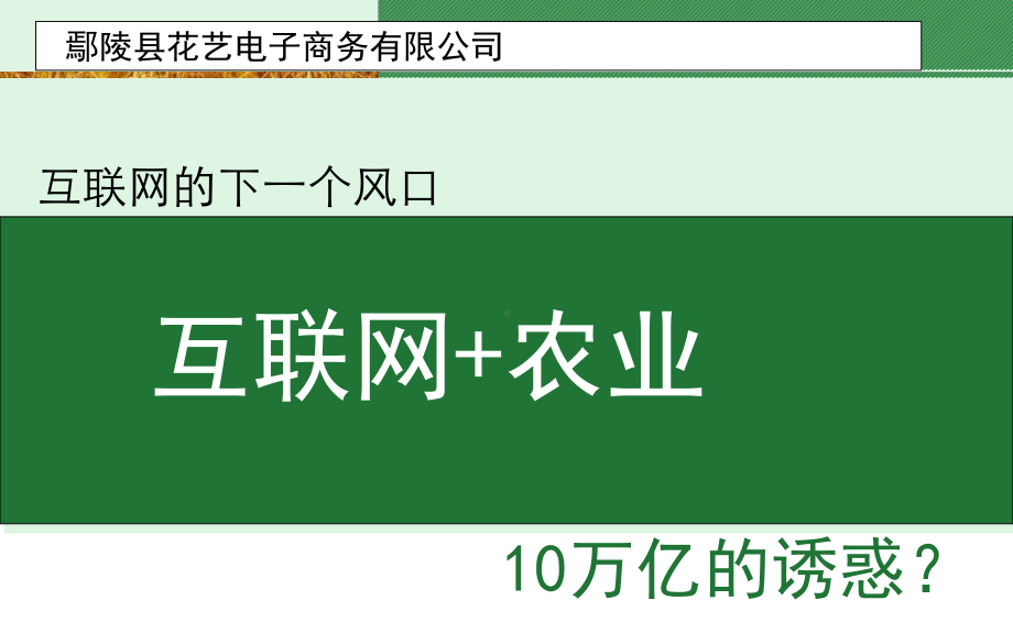 农村电商培训课件(ppt共101张).ppt_第2页