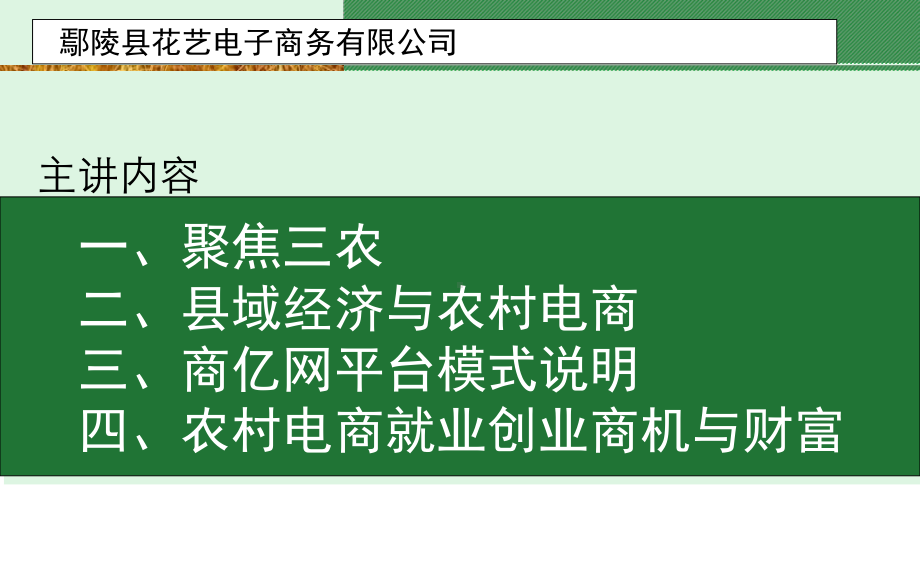 农村电商培训课件(ppt共101张).ppt_第3页