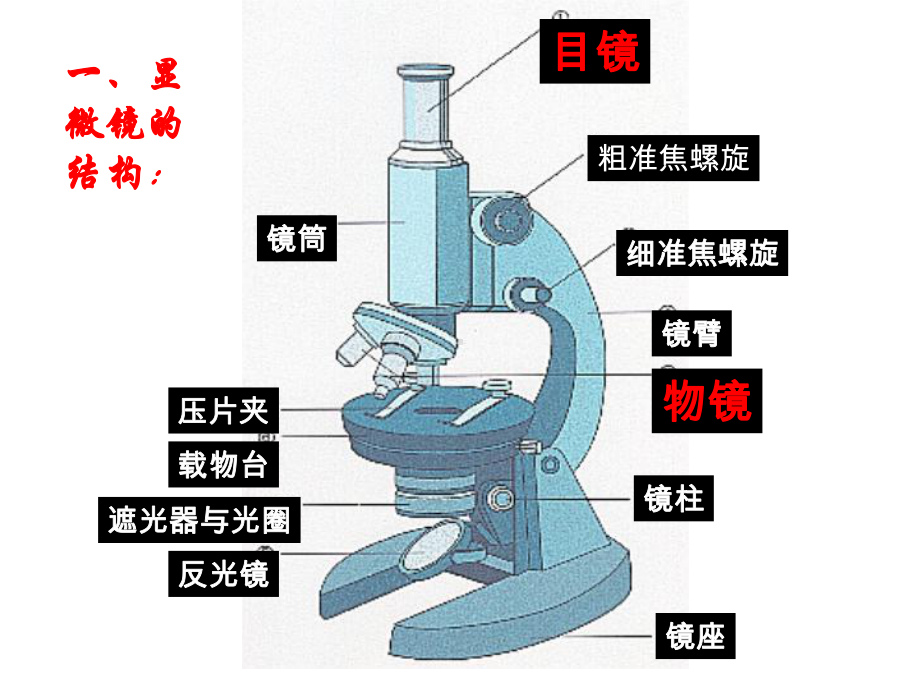 二轮高三生物实验专题PPT课件.ppt_第3页