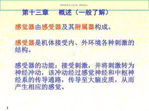 人体系统解剖教程感受器课件.ppt
