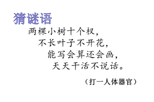 1.植树问题 例1教学课件.ppt