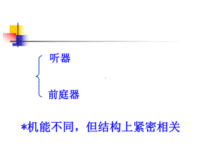 前庭蜗器解剖知识课件.ppt