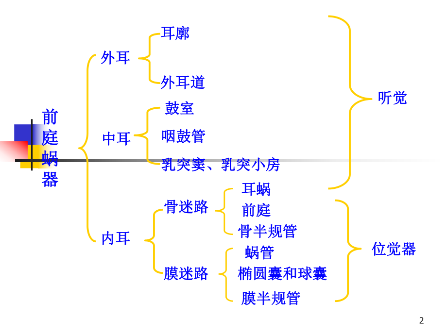 前庭蜗器解剖知识课件.ppt_第2页