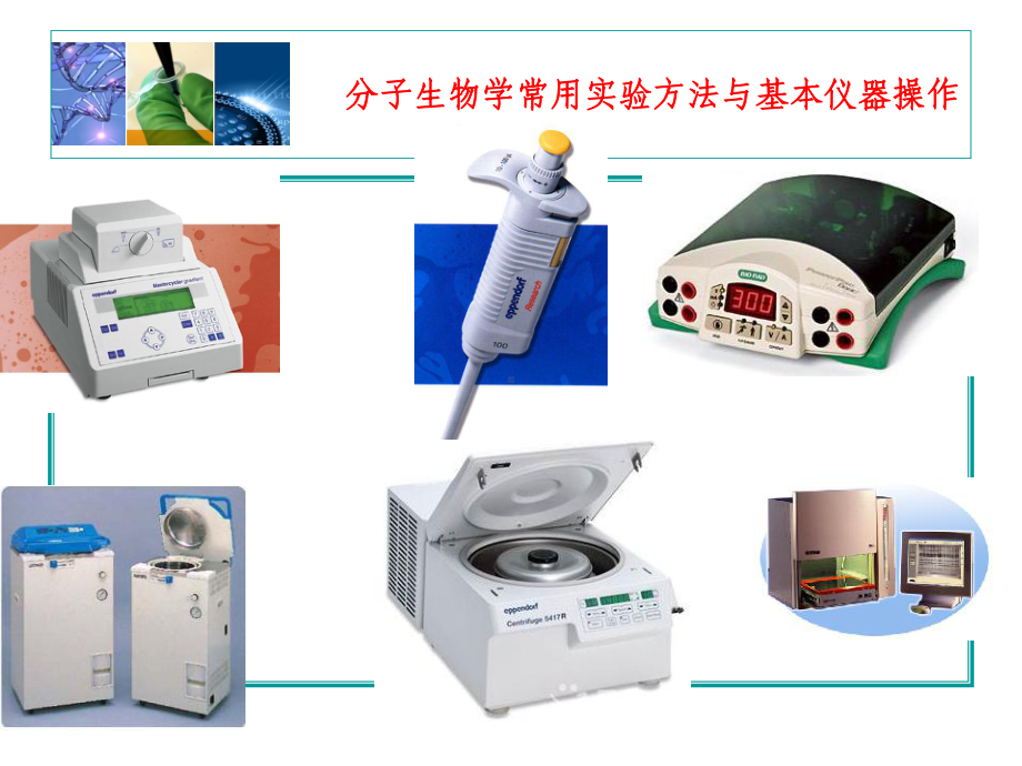 分子生物学常用实验方法与基本仪器操作课件.ppt_第1页