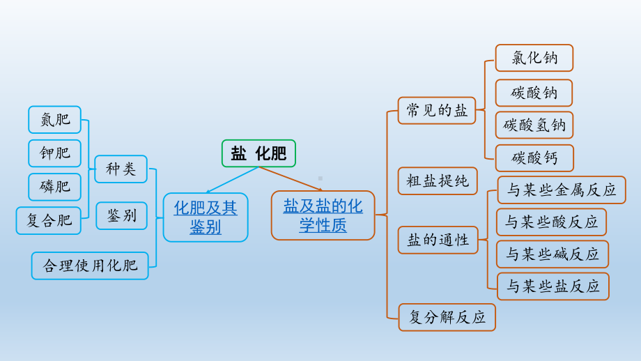 初中化学-盐-化肥-精华知识点总结课件.pptx_第1页