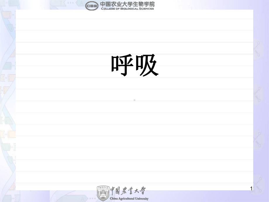 动物生物学-动物生理：6-呼吸课件.ppt_第1页