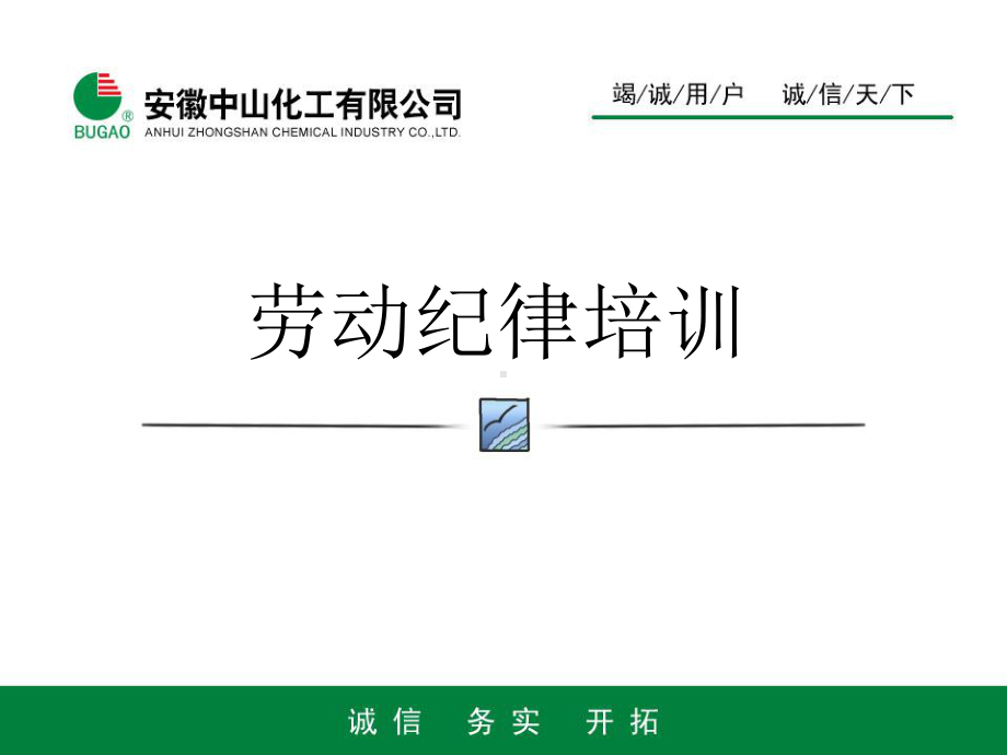 劳动纪律培训教程课件.ppt_第1页