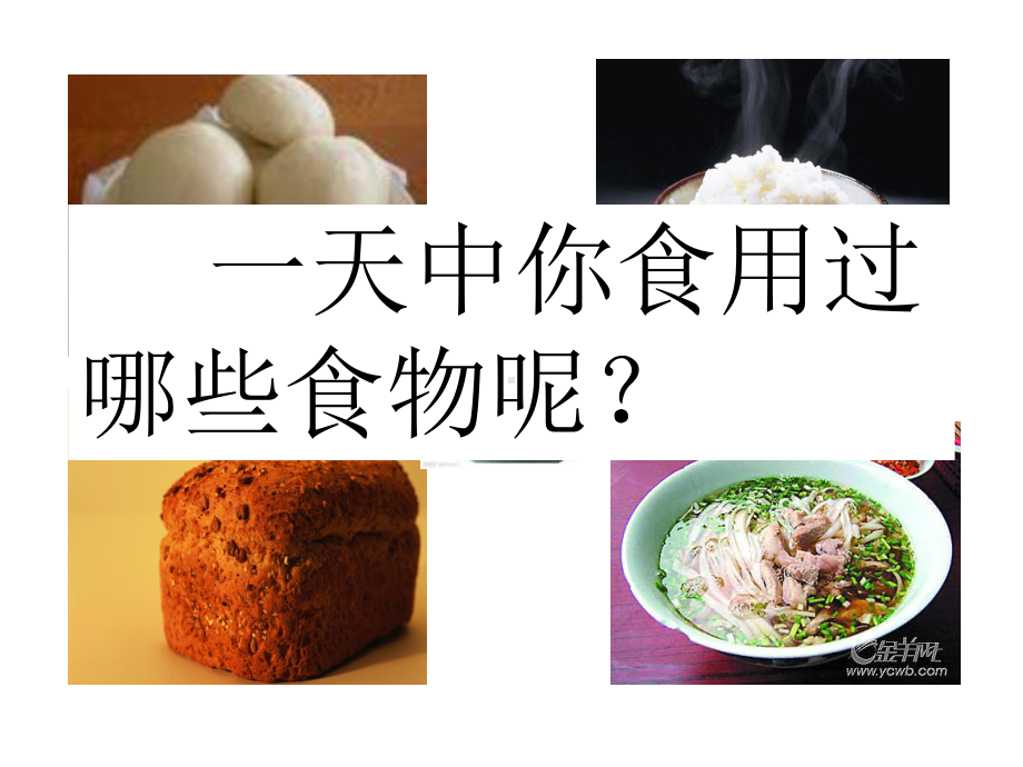 初中七年级下生物-食物的营养成分课件.ppt_第3页