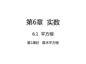 人教版七年级数学下册第六章实数PPT教学课件.pptx