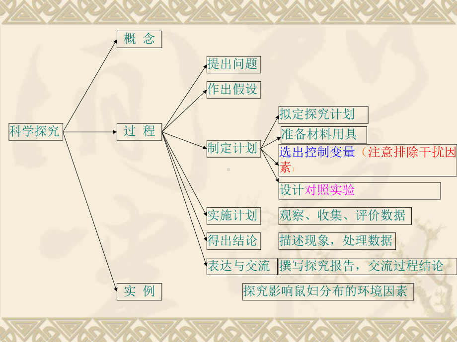 九年级生物复习(思维导图)课件.ppt_第3页