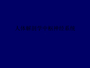 人体解剖学中枢神经系统PPT课件.ppt