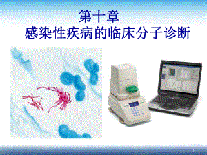 临床分子诊断学：第十章-感染性疾病的分子生物学检验课件.ppt