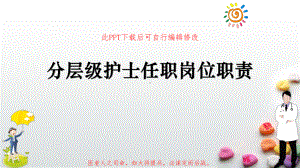 分层级护士任职岗位职责PPT课件.ppt