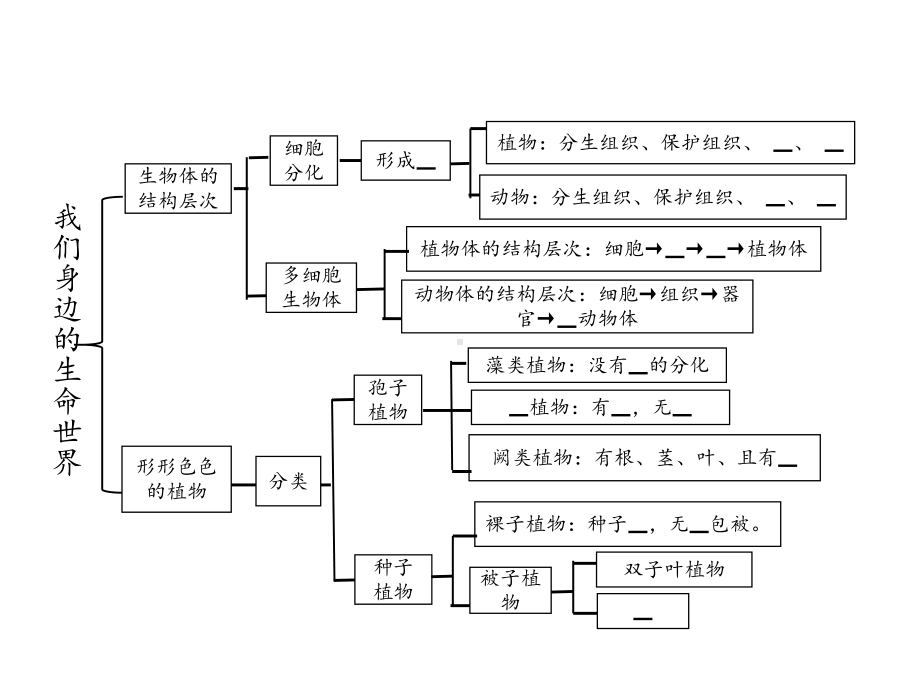 冀少版七年级生物上册复习课件全套.pptx_第3页