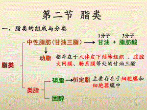 临床营养学-脂肪课件.ppt