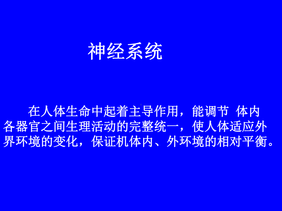 人体其他系统基本知识神经系统-PPT课件.ppt_第1页