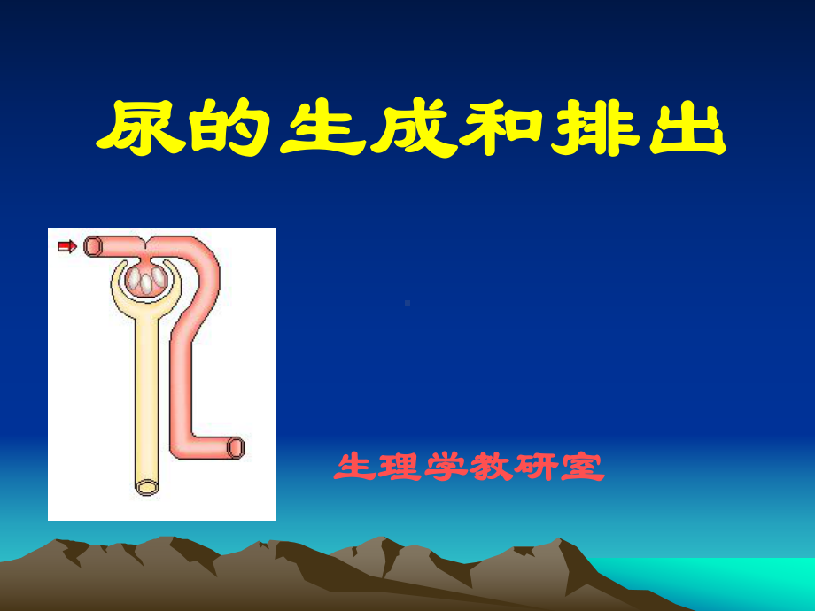 人体解剖生理学课件-第九章泌尿系统的结构与功能.ppt_第1页