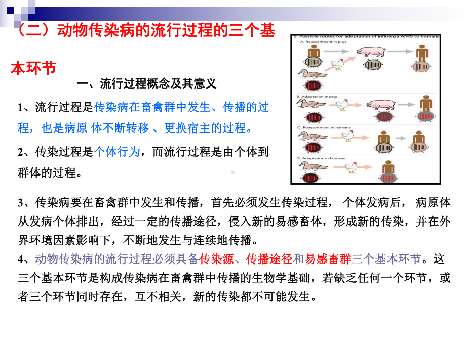 动物防疫检疫专题培训课件.ppt_第3页