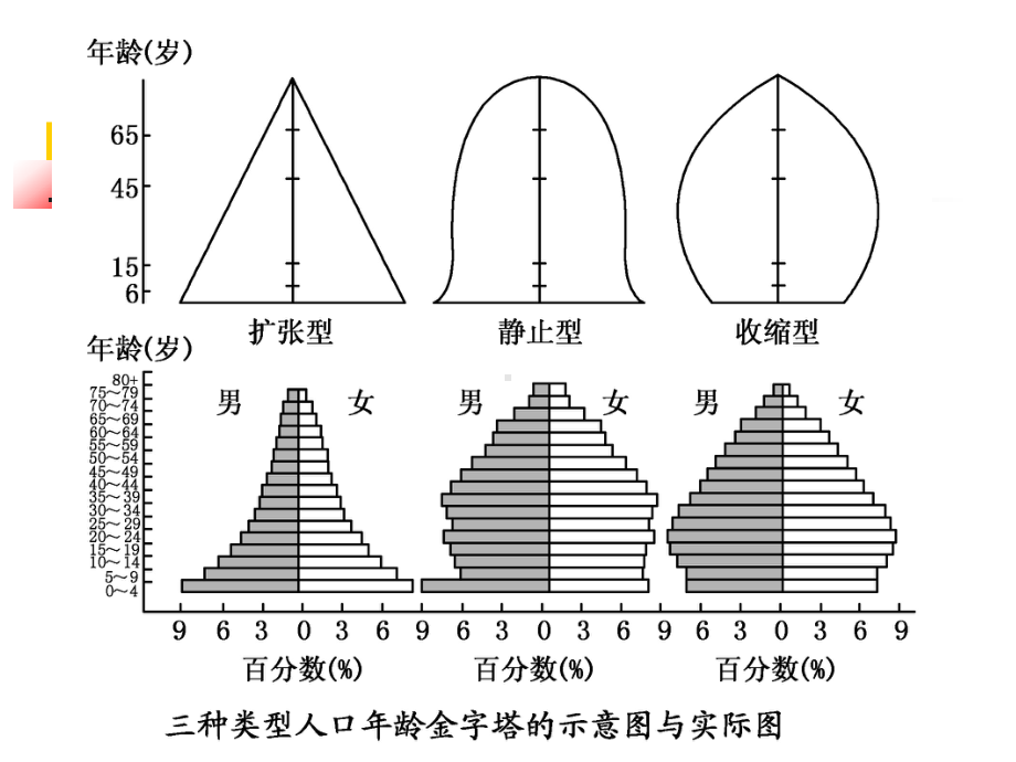 人口年龄结构金字塔课件.pptx_第3页