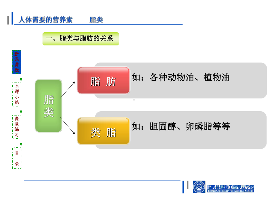 人体需要的营养素-脂类-PPT课件.ppt_第2页