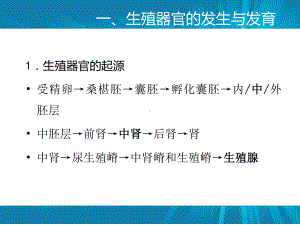 动物生殖器官及机能动物繁殖学课件.ppt