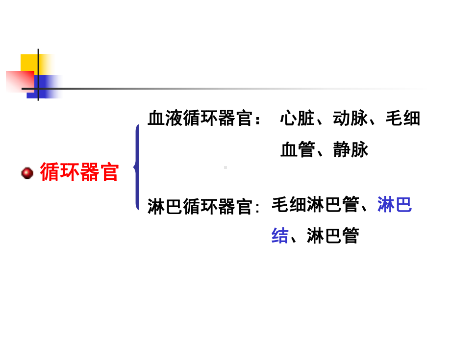 农学循环器官课件.pptx_第2页