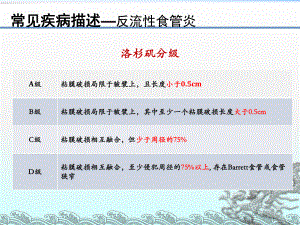 内镜报告书写规范课件.ppt