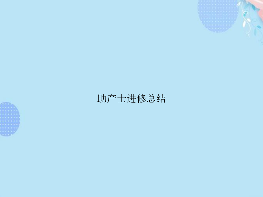 助产士进修总结PPT资料(完整版)课件.ppt_第1页